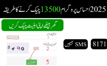 2025 احساس پروگرام 13500 چیک کرنے کا طریقہ